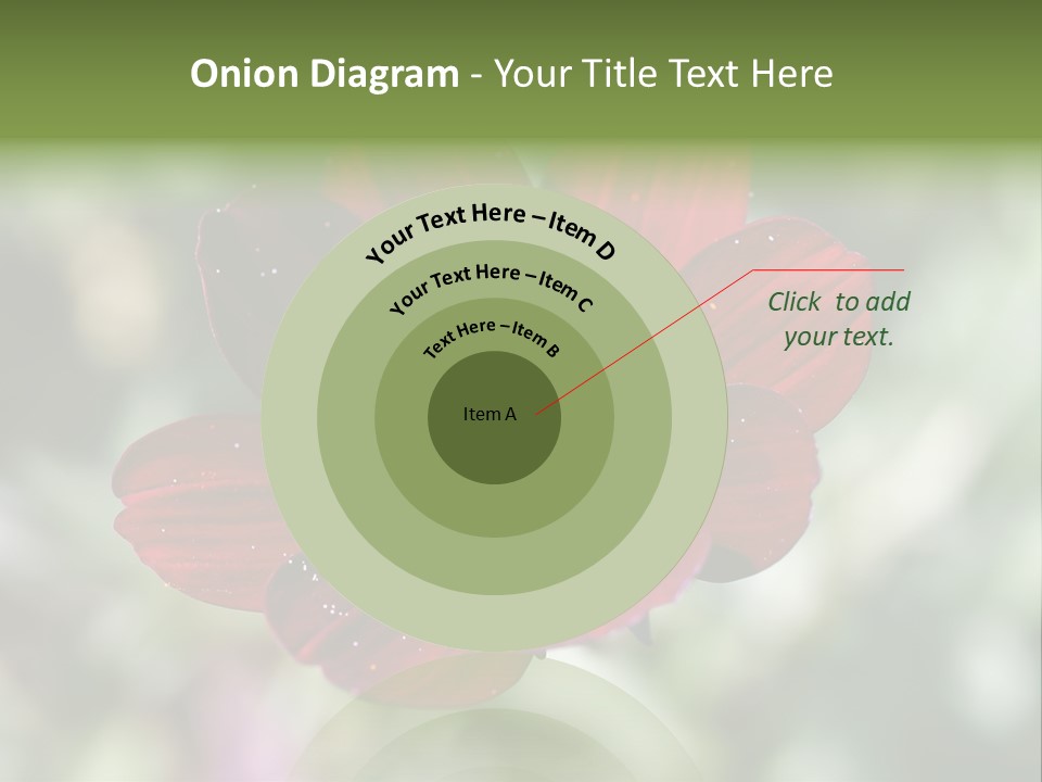 Red Flower Atrosanguineus Asteraceae PowerPoint Template