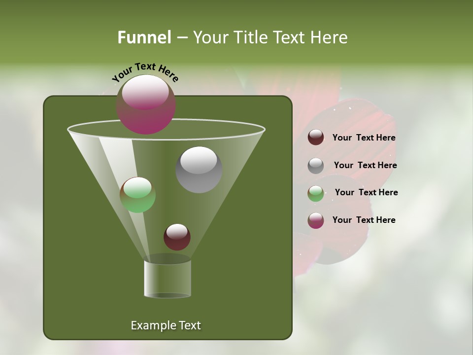 Red Flower Atrosanguineus Asteraceae PowerPoint Template