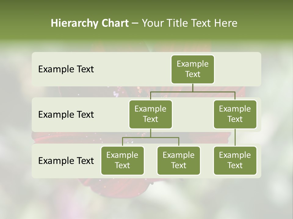 Red Flower Atrosanguineus Asteraceae PowerPoint Template