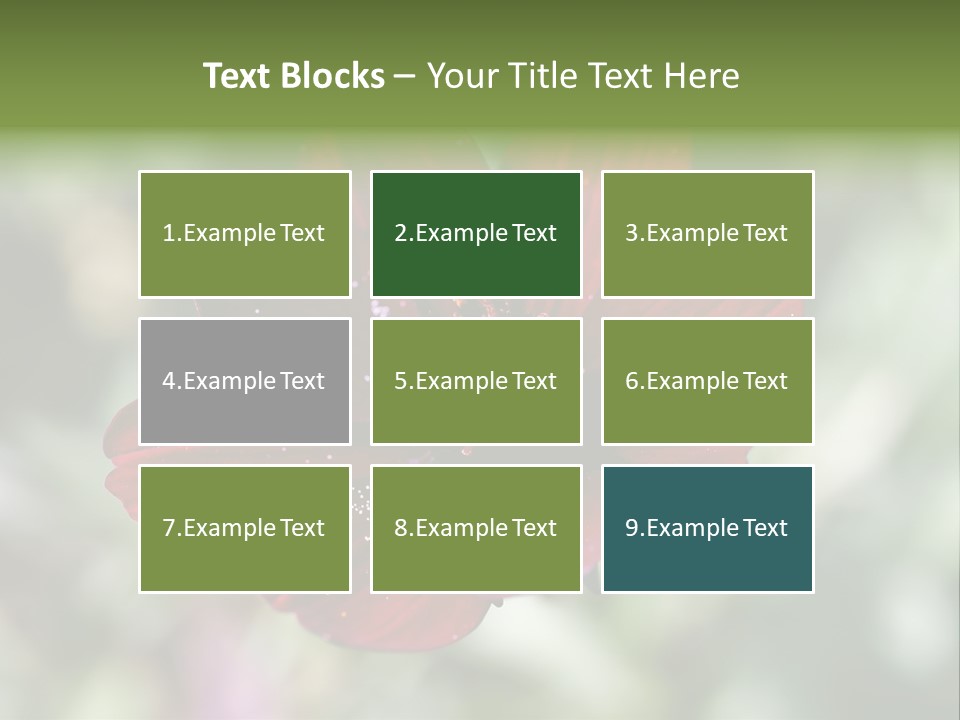 Red Flower Atrosanguineus Asteraceae PowerPoint Template