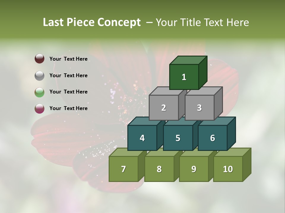 Red Flower Atrosanguineus Asteraceae PowerPoint Template