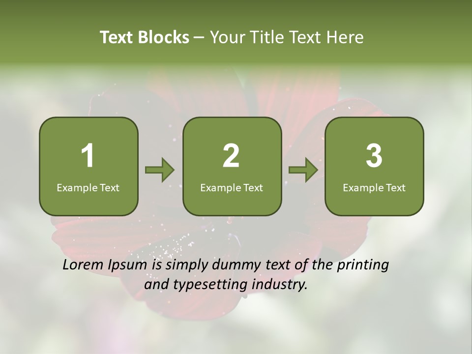 Red Flower Atrosanguineus Asteraceae PowerPoint Template