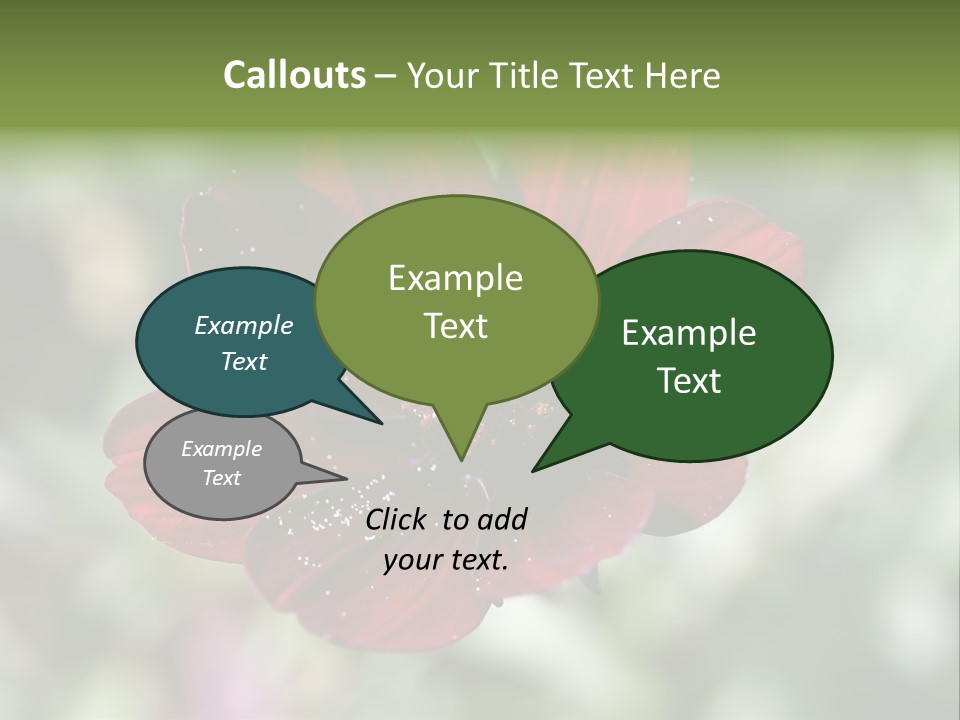 Red Flower Atrosanguineus Asteraceae PowerPoint Template