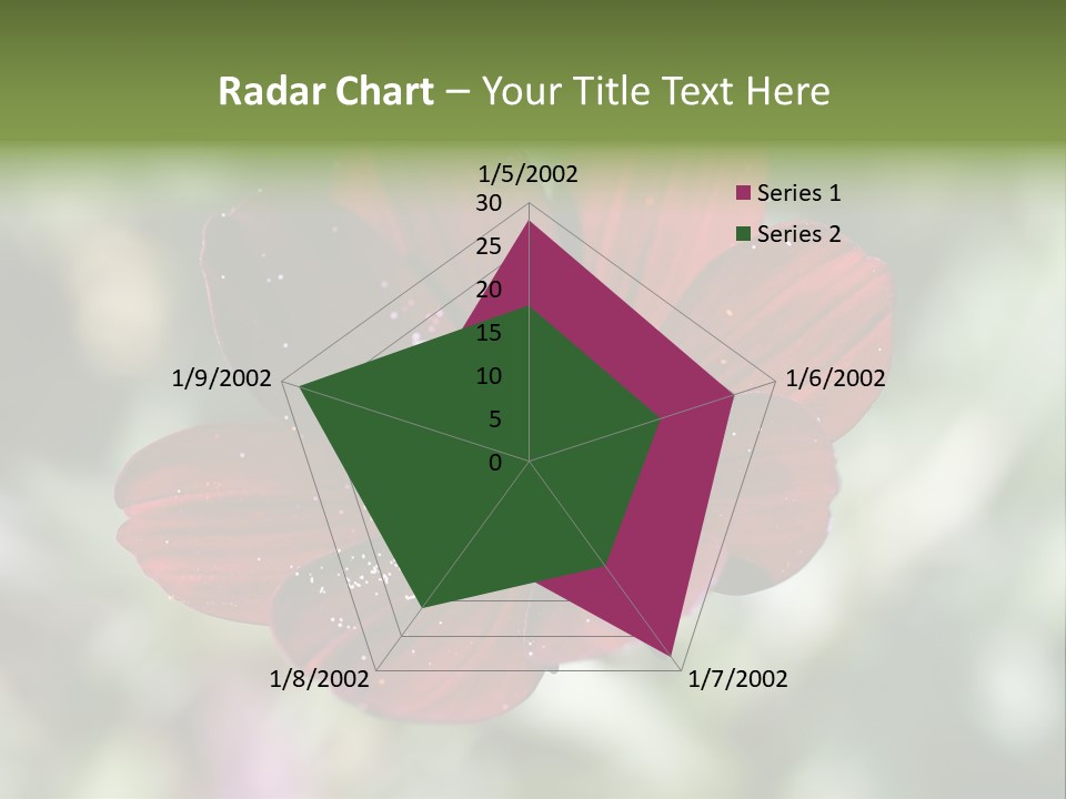 Red Flower Atrosanguineus Asteraceae PowerPoint Template
