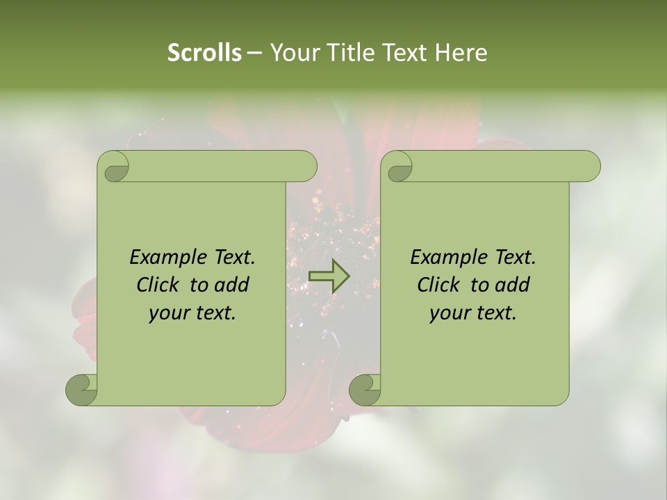 Red Flower Atrosanguineus Asteraceae PowerPoint Template
