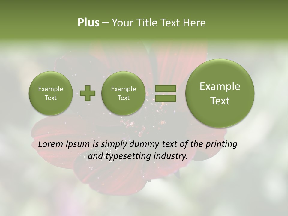 Red Flower Atrosanguineus Asteraceae PowerPoint Template