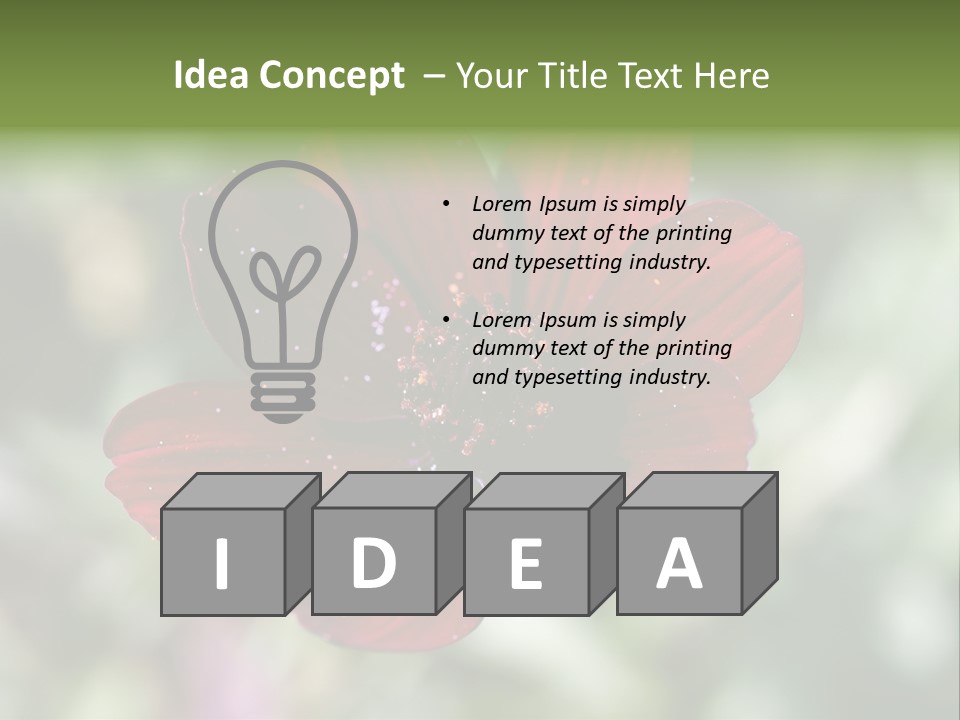 Red Flower Atrosanguineus Asteraceae PowerPoint Template