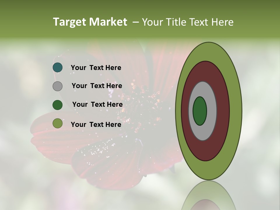 Red Flower Atrosanguineus Asteraceae PowerPoint Template