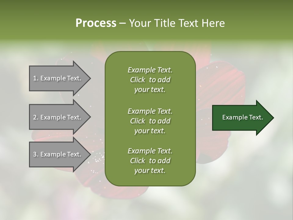 Red Flower Atrosanguineus Asteraceae PowerPoint Template