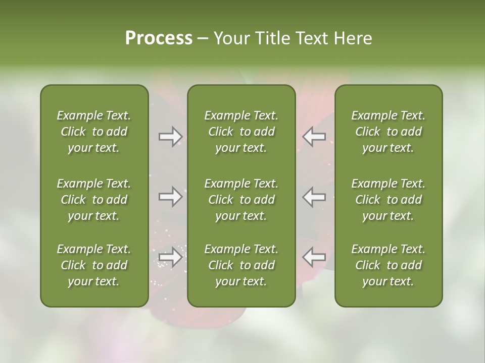 Red Flower Atrosanguineus Asteraceae PowerPoint Template