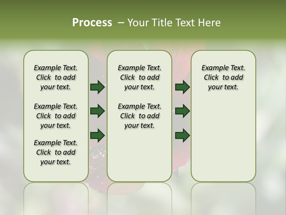 Red Flower Atrosanguineus Asteraceae PowerPoint Template