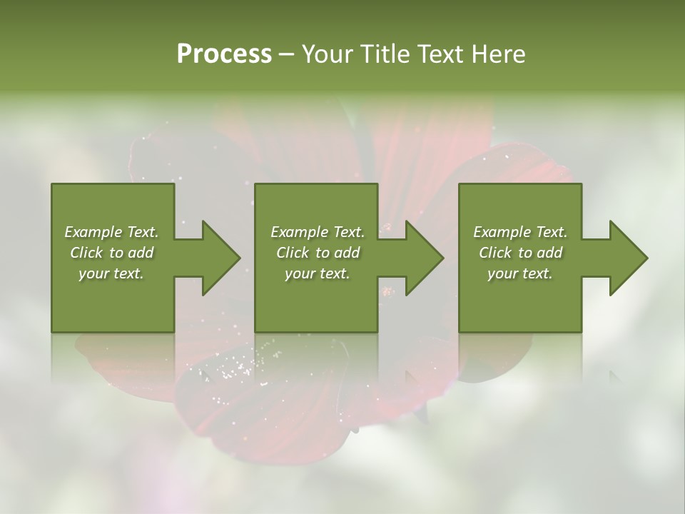 Red Flower Atrosanguineus Asteraceae PowerPoint Template