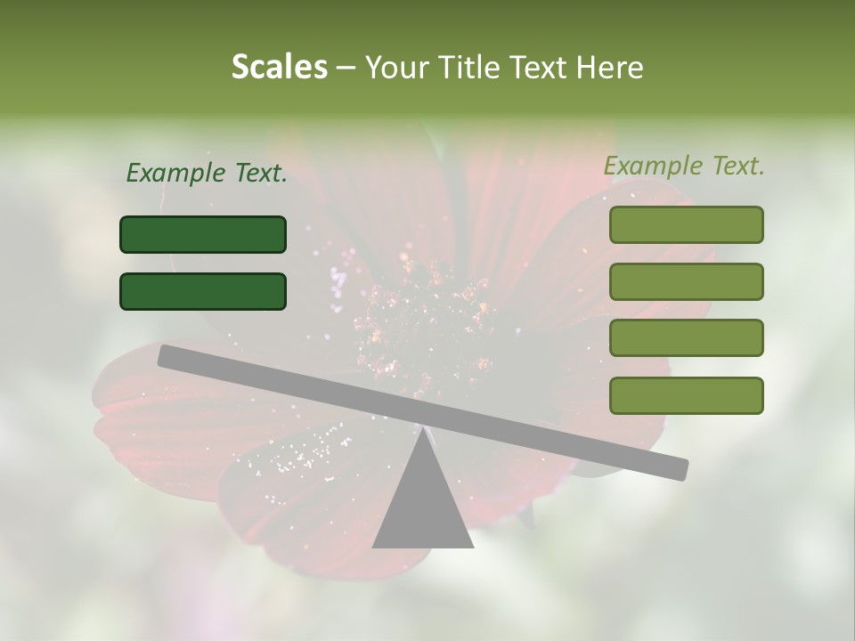 Red Flower Atrosanguineus Asteraceae PowerPoint Template