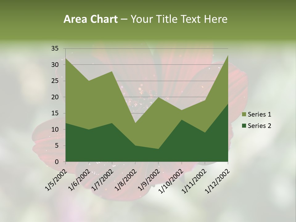 Red Flower Atrosanguineus Asteraceae PowerPoint Template