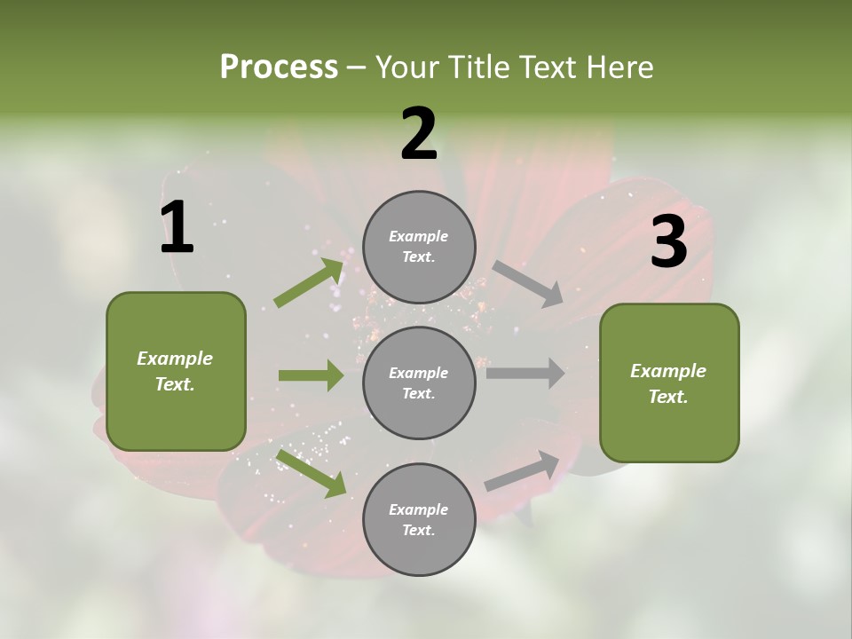 Red Flower Atrosanguineus Asteraceae PowerPoint Template