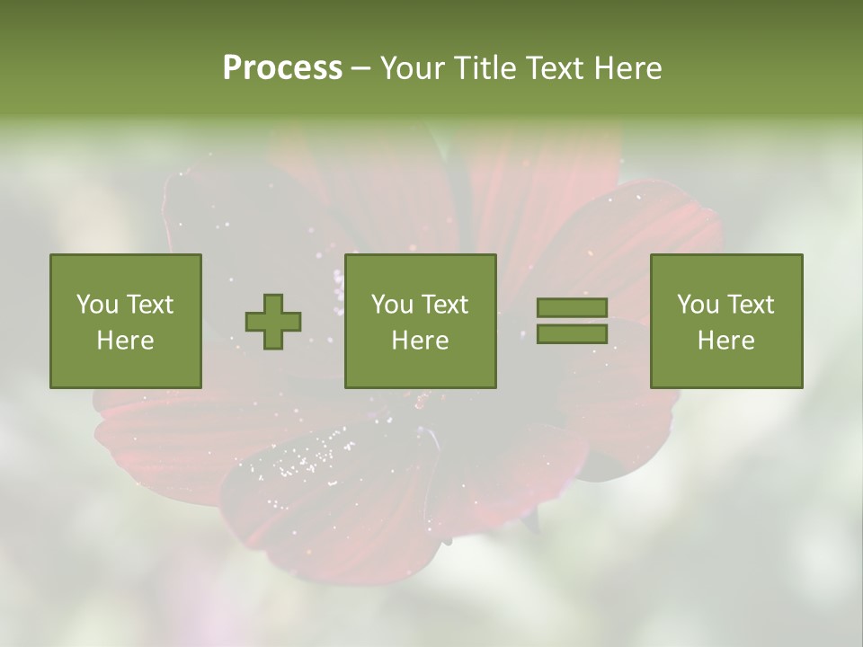 Red Flower Atrosanguineus Asteraceae PowerPoint Template