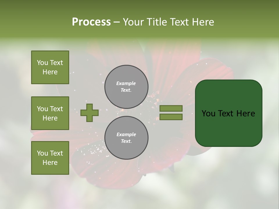 Red Flower Atrosanguineus Asteraceae PowerPoint Template