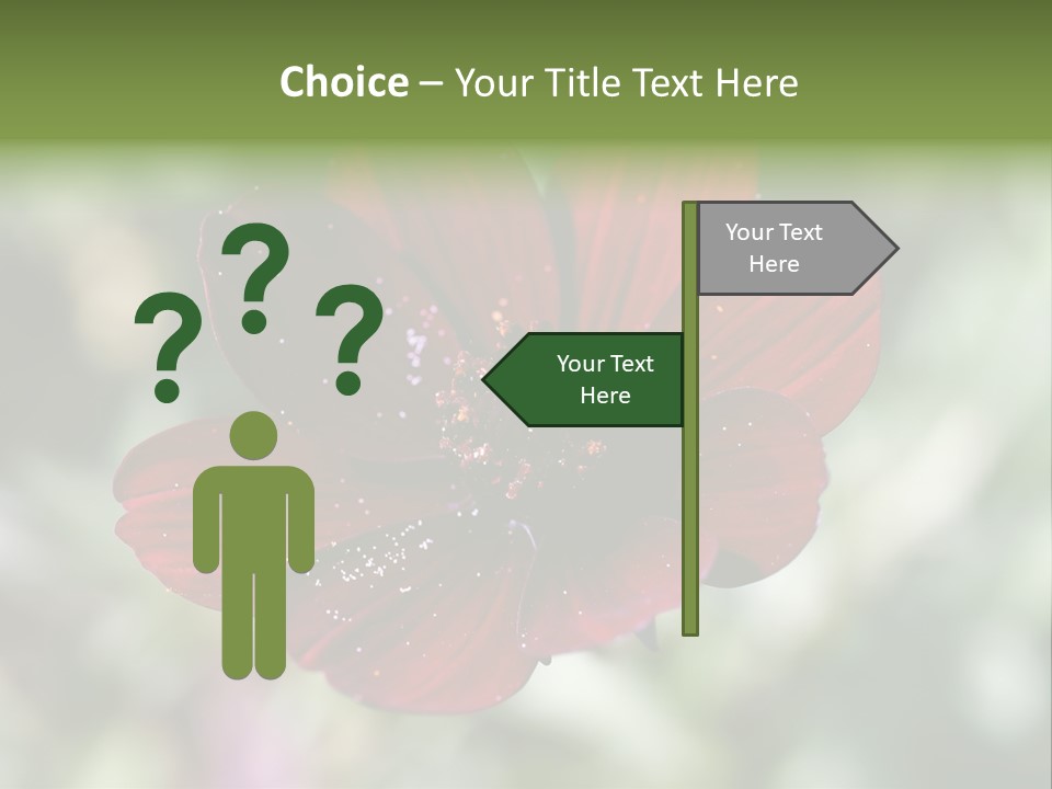 Red Flower Atrosanguineus Asteraceae PowerPoint Template