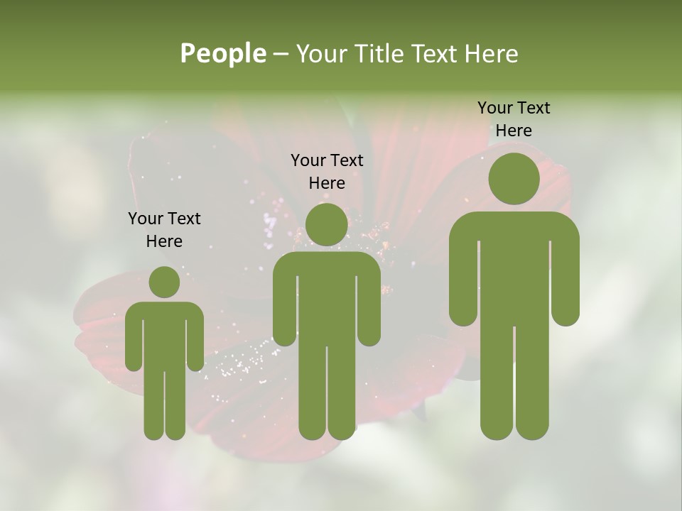 Red Flower Atrosanguineus Asteraceae PowerPoint Template