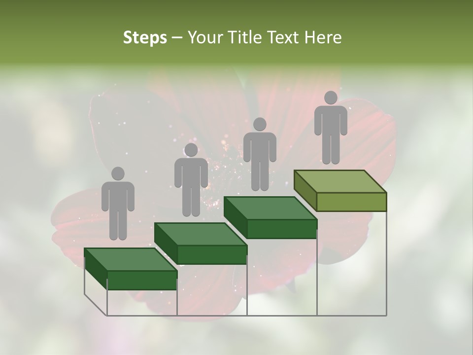 Red Flower Atrosanguineus Asteraceae PowerPoint Template