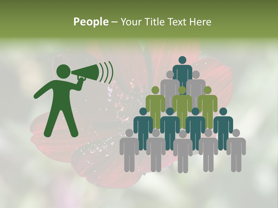 Red Flower Atrosanguineus Asteraceae PowerPoint Template