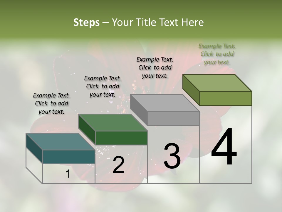 Red Flower Atrosanguineus Asteraceae PowerPoint Template