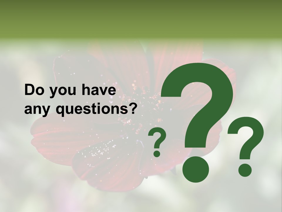 Red Flower Atrosanguineus Asteraceae PowerPoint Template