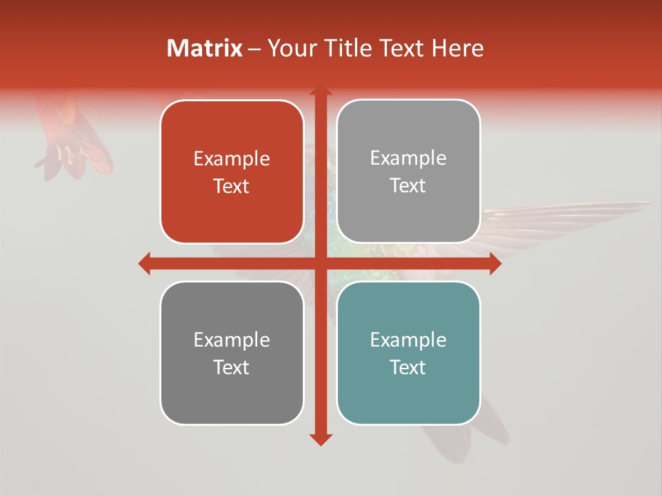 Cynanthus Latirostris Feather Background Cynanthus PowerPoint Template