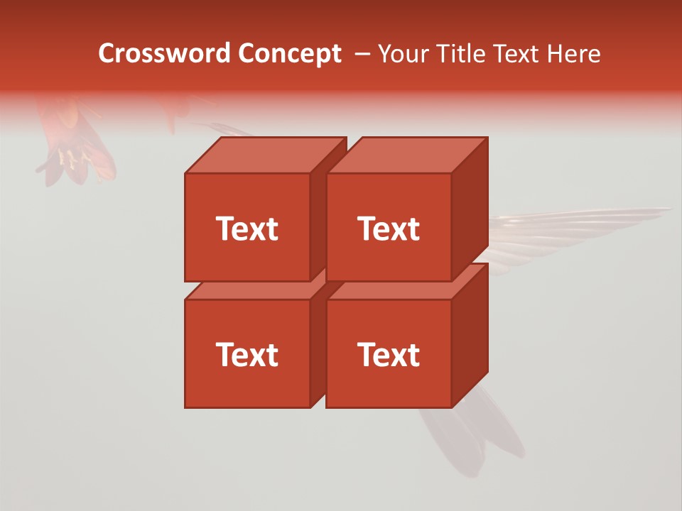 Cynanthus Latirostris Feather Background Cynanthus PowerPoint Template