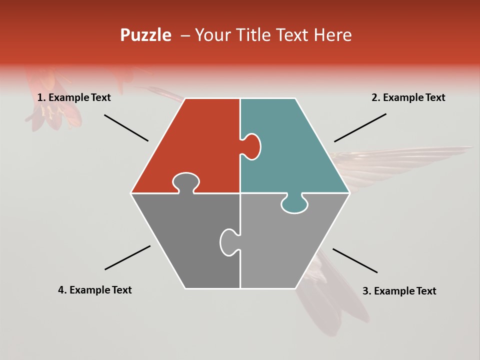 Cynanthus Latirostris Feather Background Cynanthus PowerPoint Template