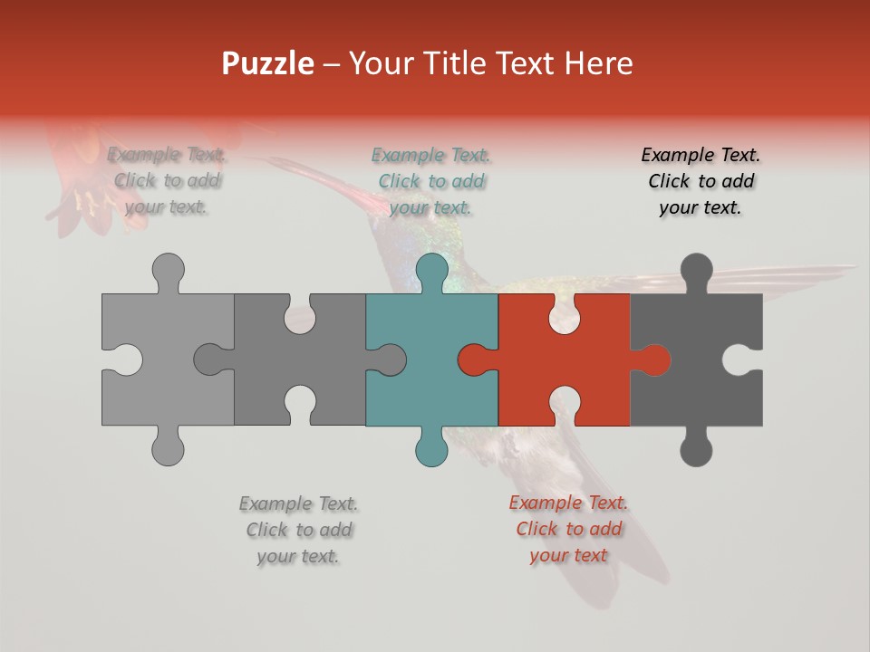 Cynanthus Latirostris Feather Background Cynanthus PowerPoint Template