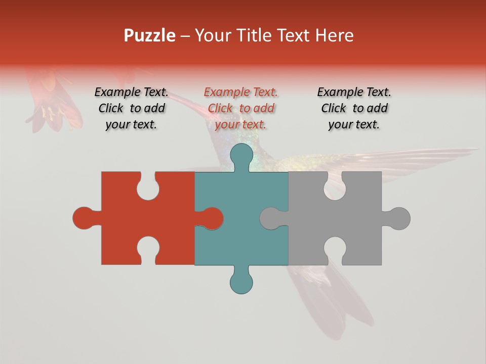 Cynanthus Latirostris Feather Background Cynanthus PowerPoint Template