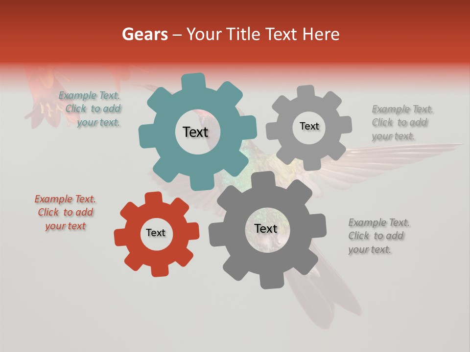 Cynanthus Latirostris Feather Background Cynanthus PowerPoint Template