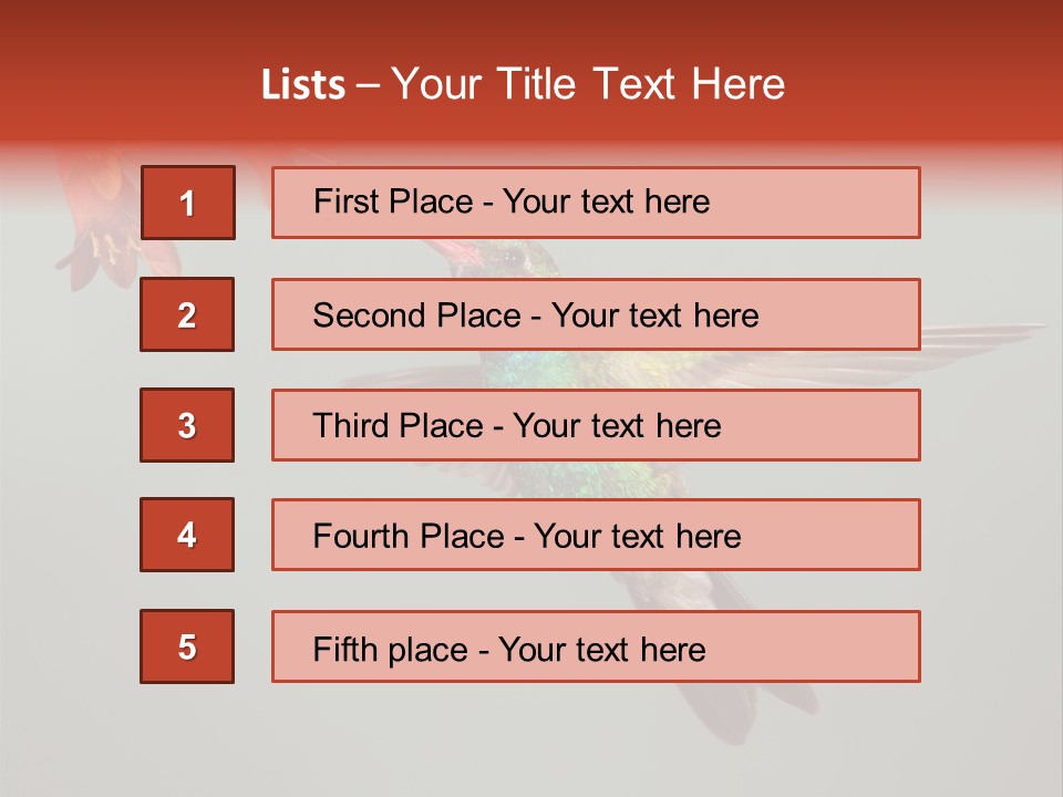 Cynanthus Latirostris Feather Background Cynanthus PowerPoint Template