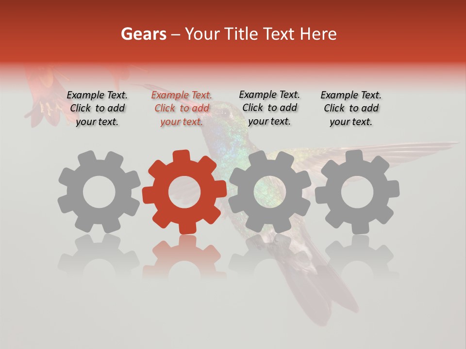 Cynanthus Latirostris Feather Background Cynanthus PowerPoint Template