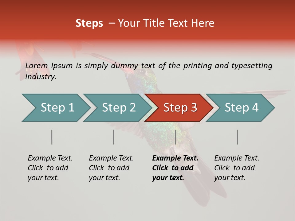Cynanthus Latirostris Feather Background Cynanthus PowerPoint Template