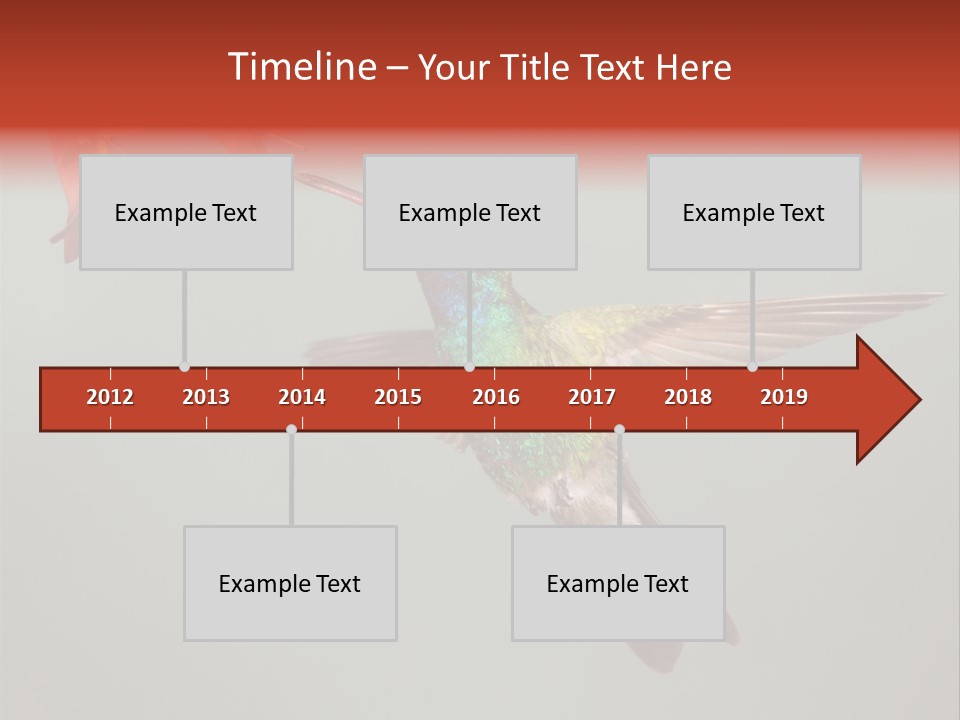 Cynanthus Latirostris Feather Background Cynanthus PowerPoint Template