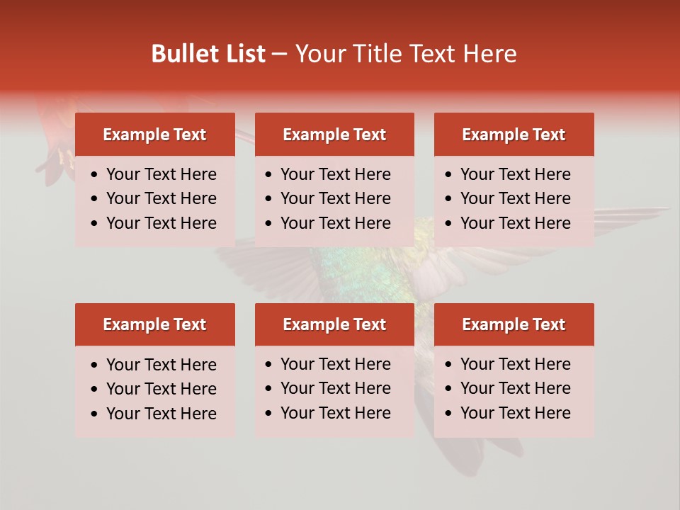 Cynanthus Latirostris Feather Background Cynanthus PowerPoint Template