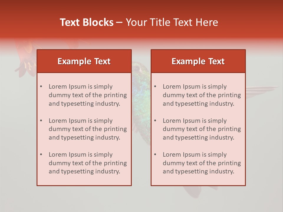 Cynanthus Latirostris Feather Background Cynanthus PowerPoint Template