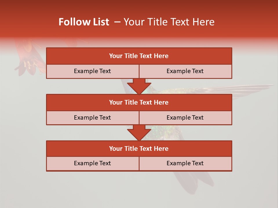 Cynanthus Latirostris Feather Background Cynanthus PowerPoint Template