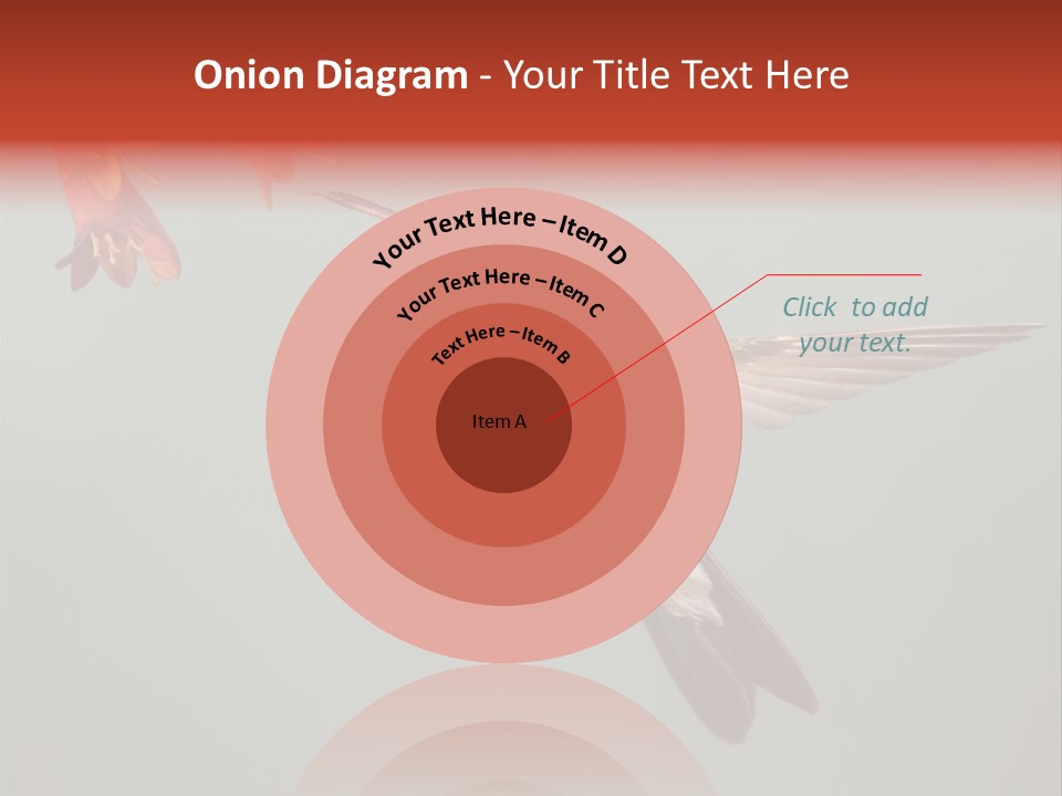 Cynanthus Latirostris Feather Background Cynanthus PowerPoint Template