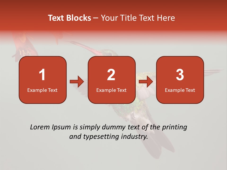 Cynanthus Latirostris Feather Background Cynanthus PowerPoint Template