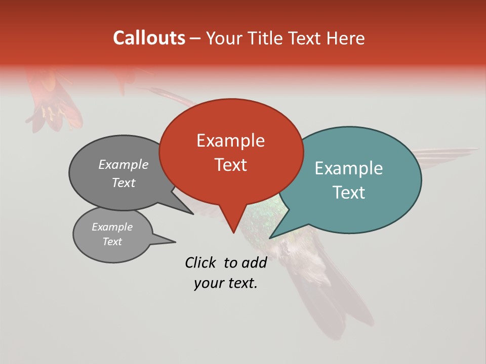 Cynanthus Latirostris Feather Background Cynanthus PowerPoint Template