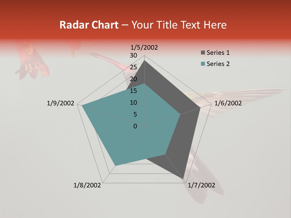 Cynanthus Latirostris Feather Background Cynanthus PowerPoint Template