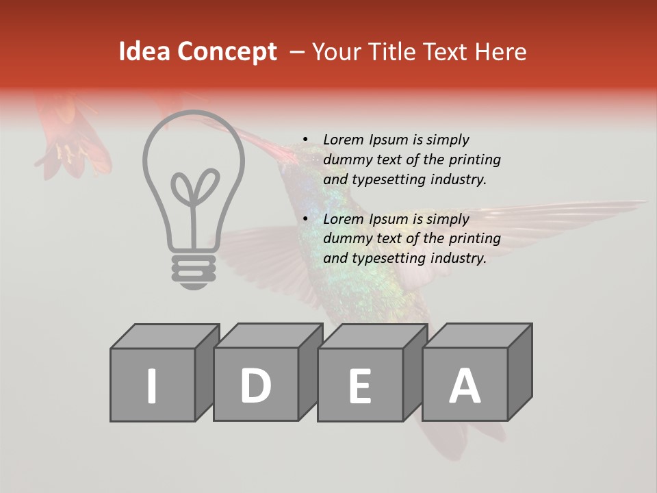 Cynanthus Latirostris Feather Background Cynanthus PowerPoint Template