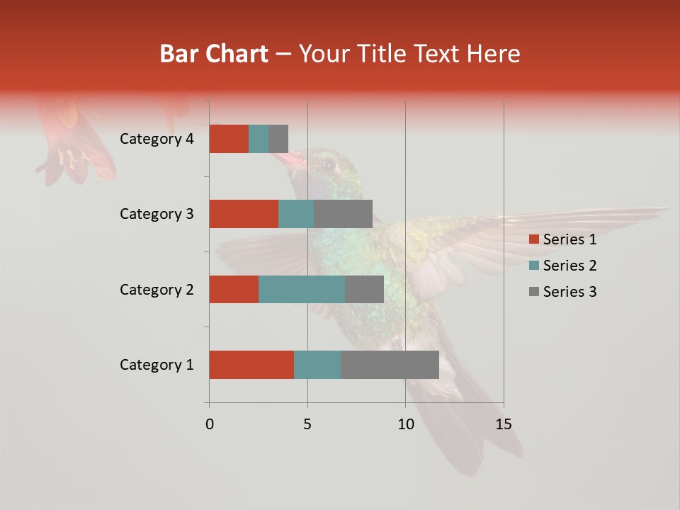 Cynanthus Latirostris Feather Background Cynanthus PowerPoint Template