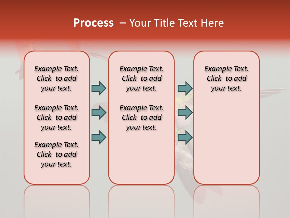 Cynanthus Latirostris Feather Background Cynanthus PowerPoint Template