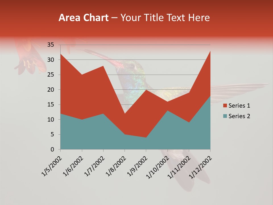 Cynanthus Latirostris Feather Background Cynanthus PowerPoint Template