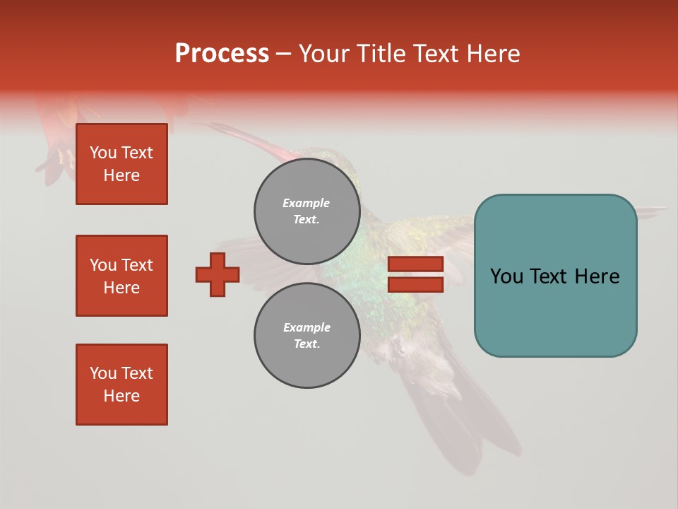 Cynanthus Latirostris Feather Background Cynanthus PowerPoint Template