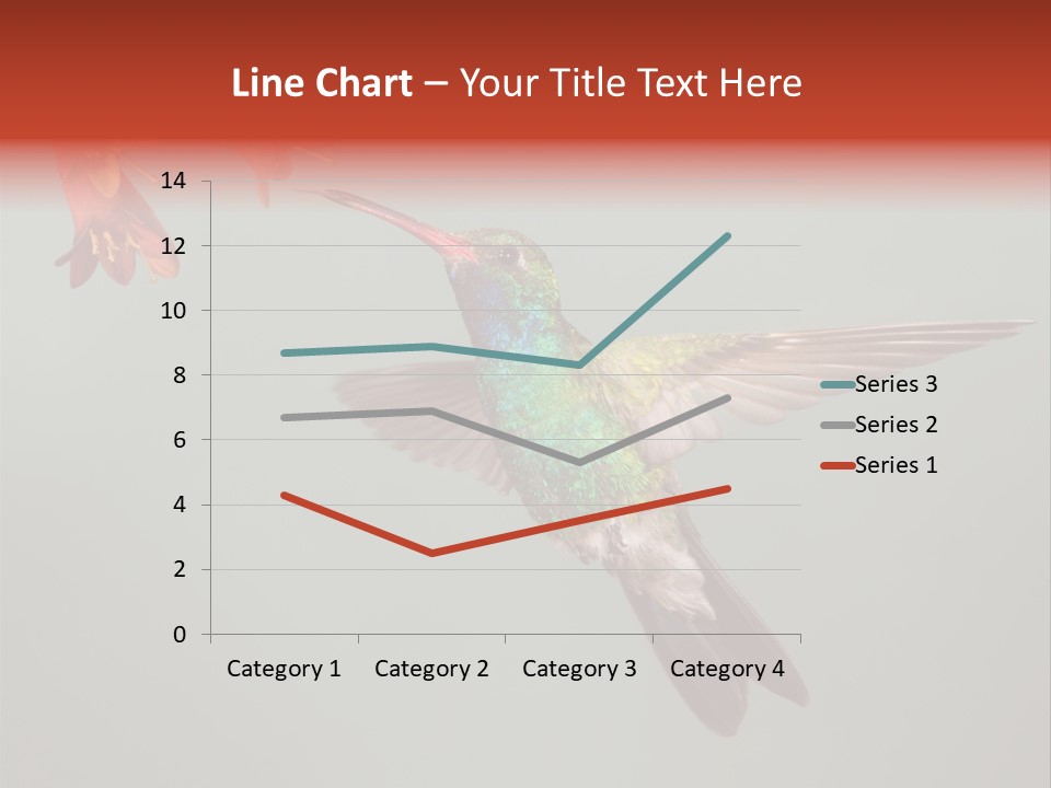 Cynanthus Latirostris Feather Background Cynanthus PowerPoint Template